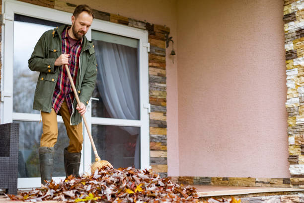 Best Professional Junk Removal  in Morningside, MD